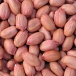 Groundnut-500x500-1