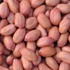Groundnut-500x500-1