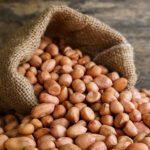 groundnut-136721_l