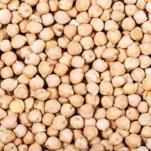 kabuli-chana-500x500-1