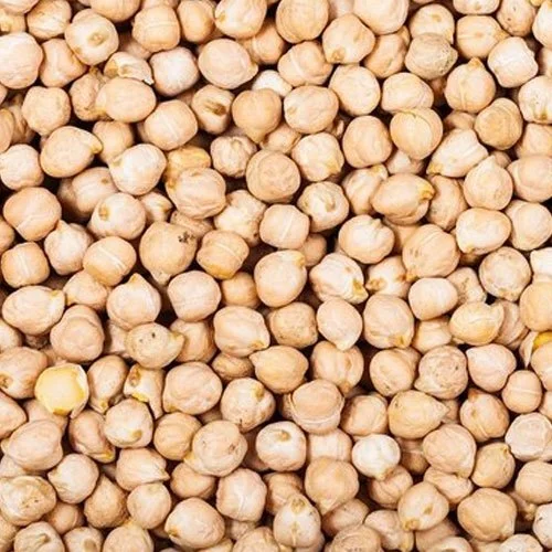Kabuli Channa